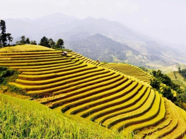 Cát Bà - Hà Giang