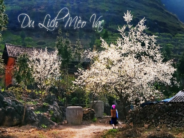 Hà Giang - Mèo Vạc