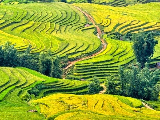 Hà Nội - Lào Cai